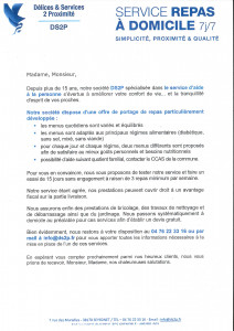 DS2P- Flyer 2022-1