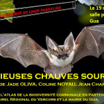 Affiche conférence chauve-souris